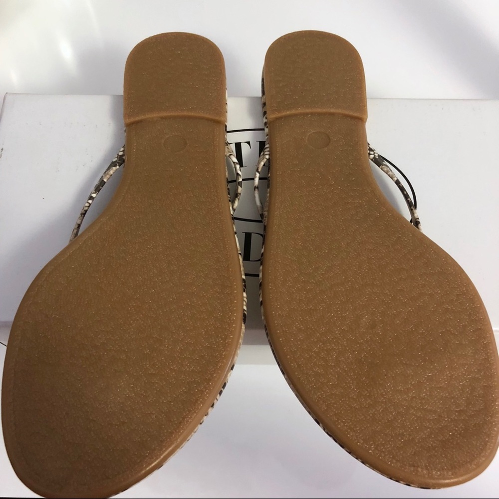 FINAL $❗️Steve Madden Snake Beach Sandals - Picture 2 of 2